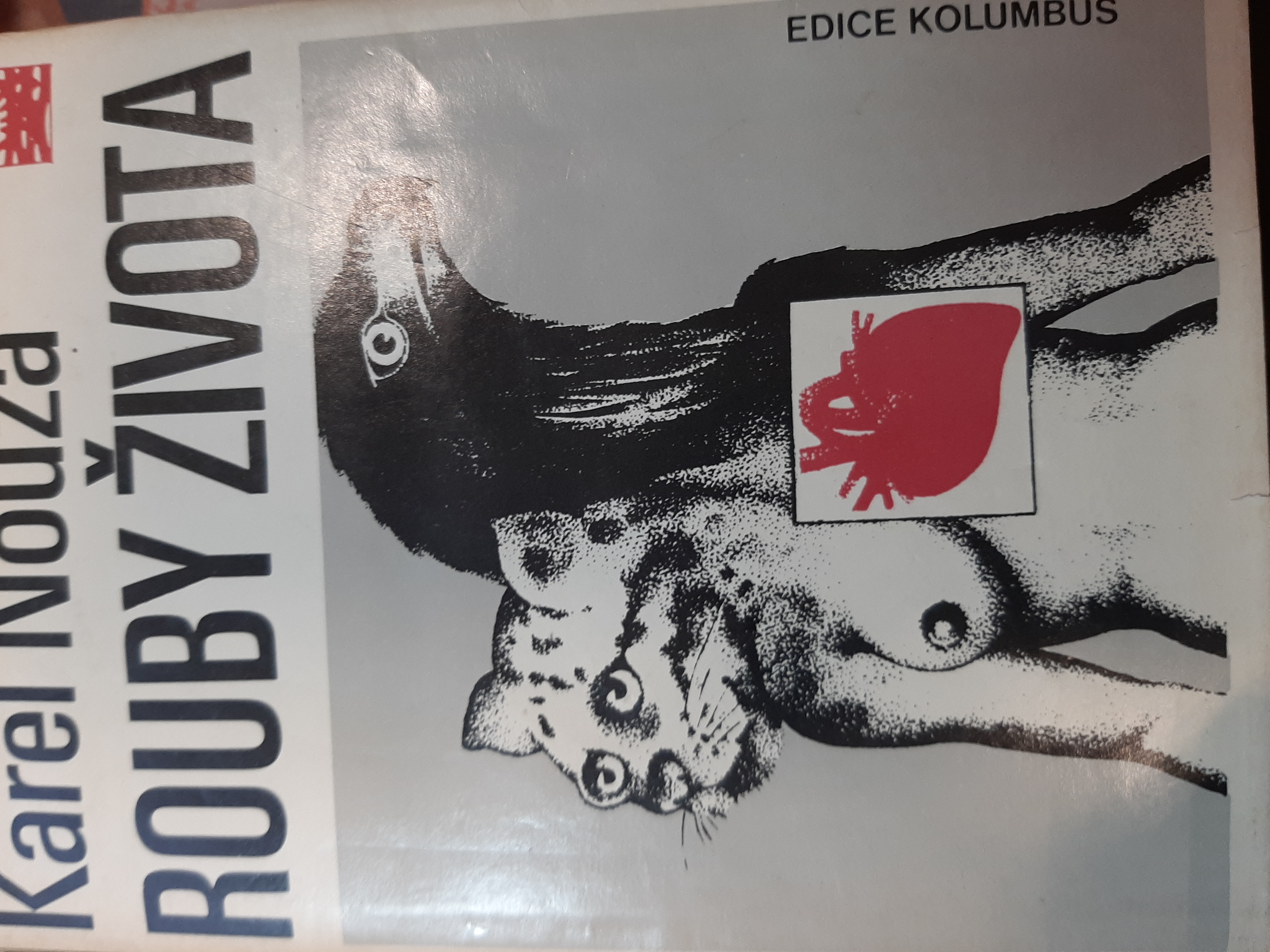 Rouby života (Unknown Binding)