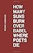 How Many Suns Burn Over Babel Where Poets Die?