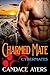 Charmed Mate (Cybermates #2)