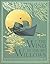Wind In The Willows