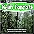 Rain Forests: Learn And Dis...