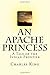 An Apache Princess: A Tale of the Indian Frontier