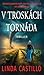 V troskách tornáda (Kate Burkholder, #7)