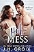 Hot Mess (Into The Fire, #4)