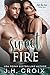 Sweet Fire (Into The Fire, #6)