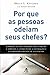 Por Que As Pessoas Odeiam Seus Chefes? by Bruce L. Katcher