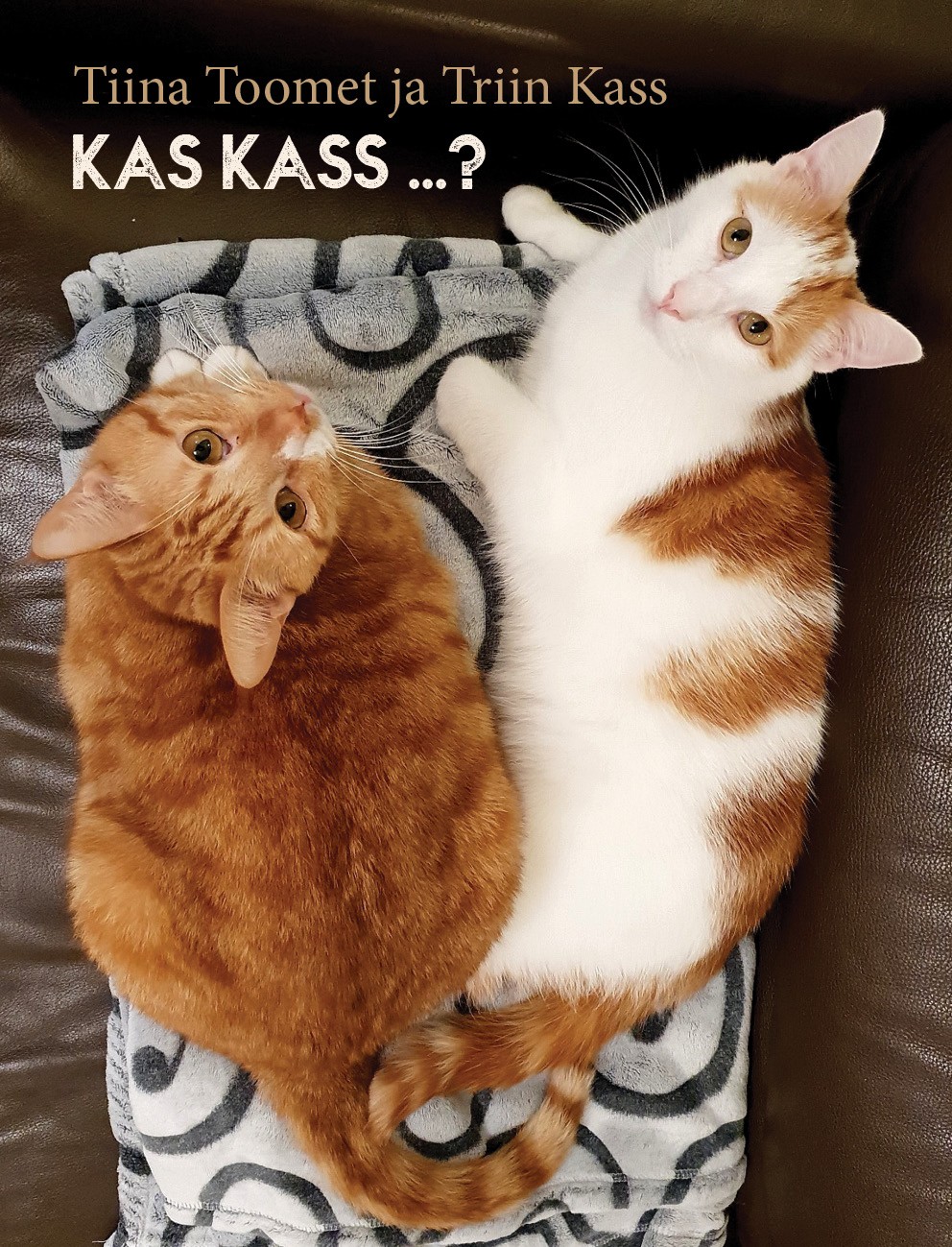 Kas kass…? (Hardcover)