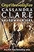 City of Heavenly Fire (The Mortal Instruments, #6)