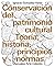 Conservación del patrimonio cultural by Ignacio González-Varas