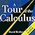 A Tour of the Calculus