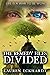 Divided (The Remedy Files, #3)