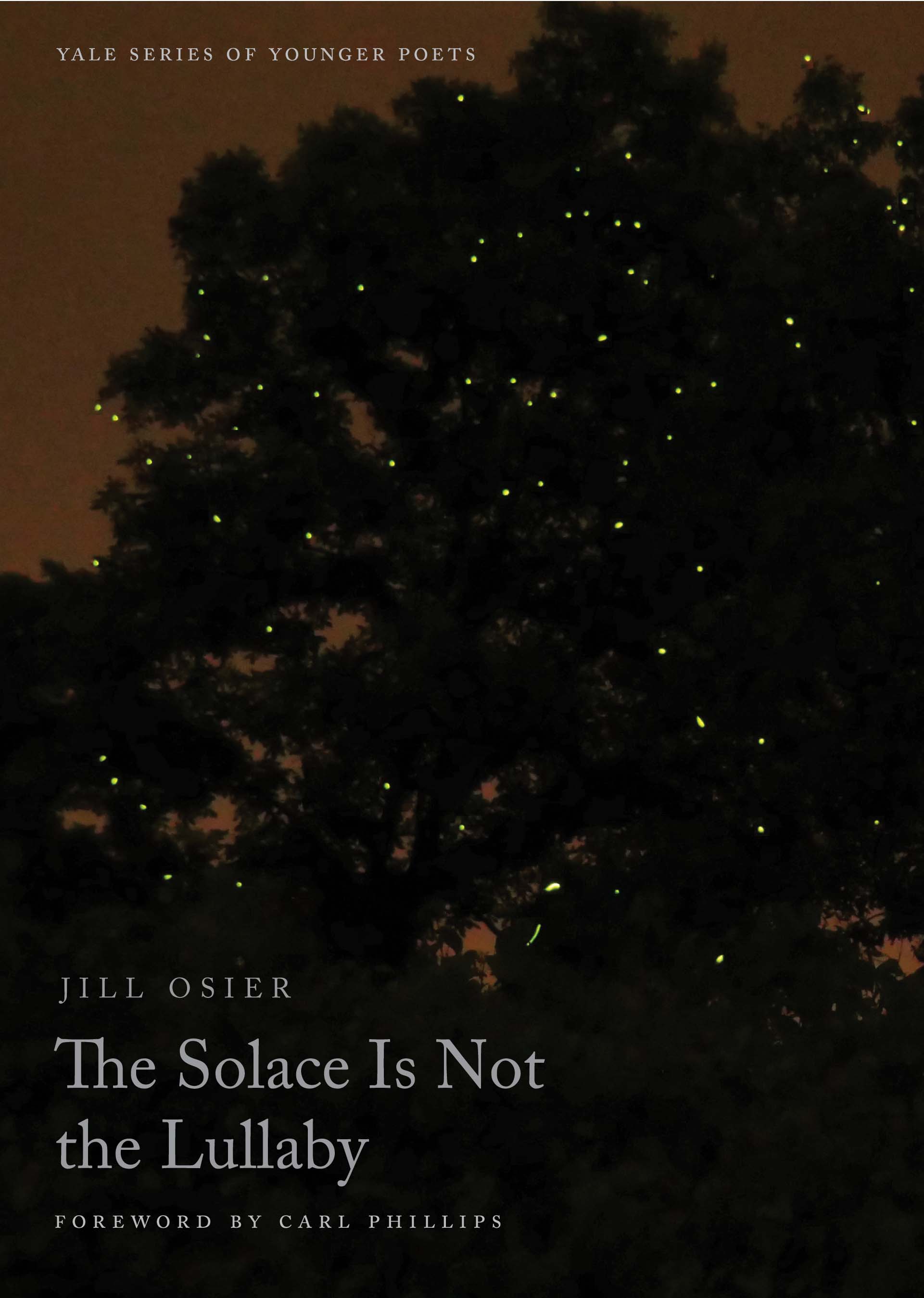 The Solace Is Not the Lullaby (Hardcover)