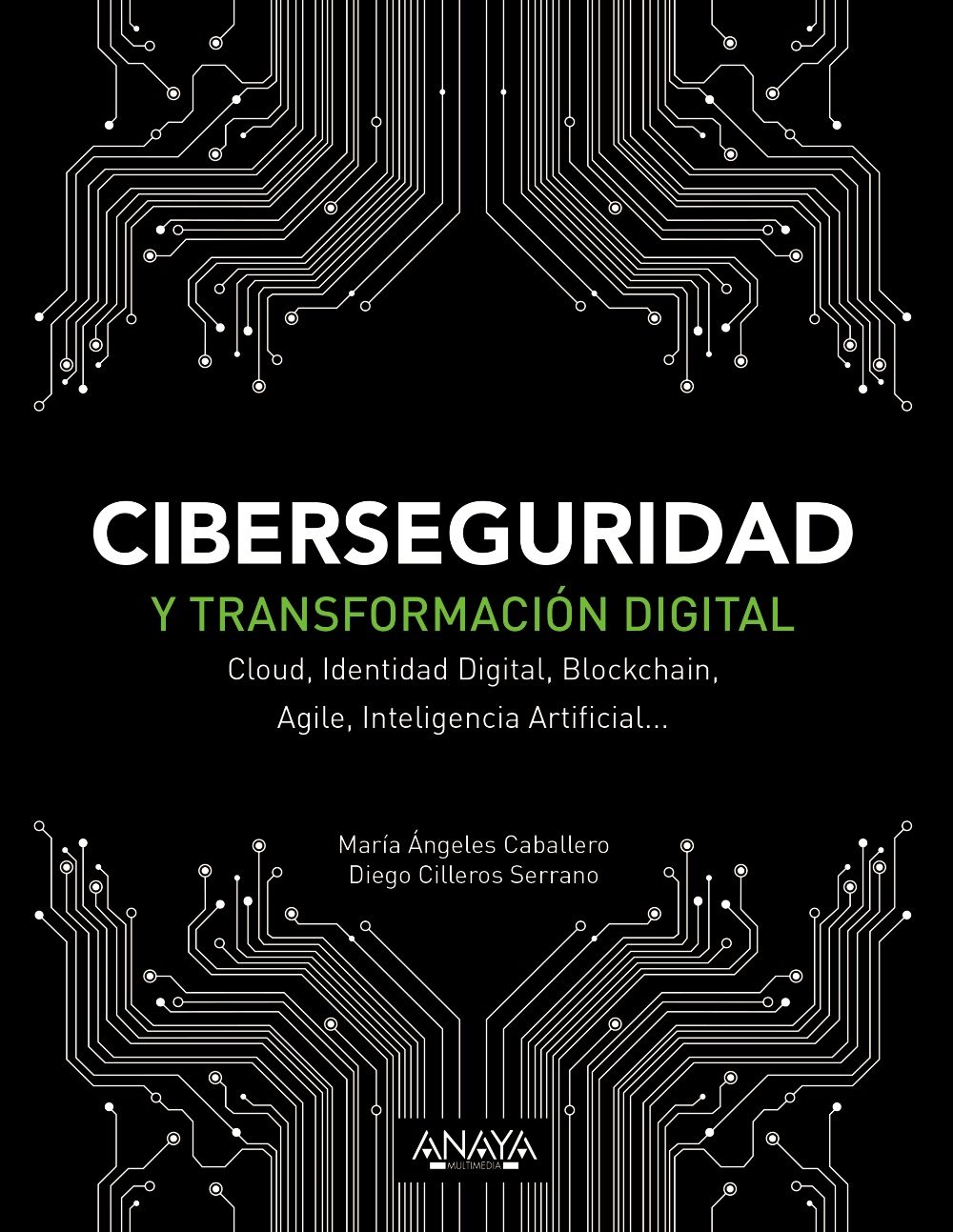 Ciberseguridad y transformación digital: Cloud, Identidad Digital, Blockchain, Agile, Inteligencia Artificial... (Hardcover)