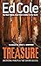 Treasure: Uncovering Principles That Govern Success