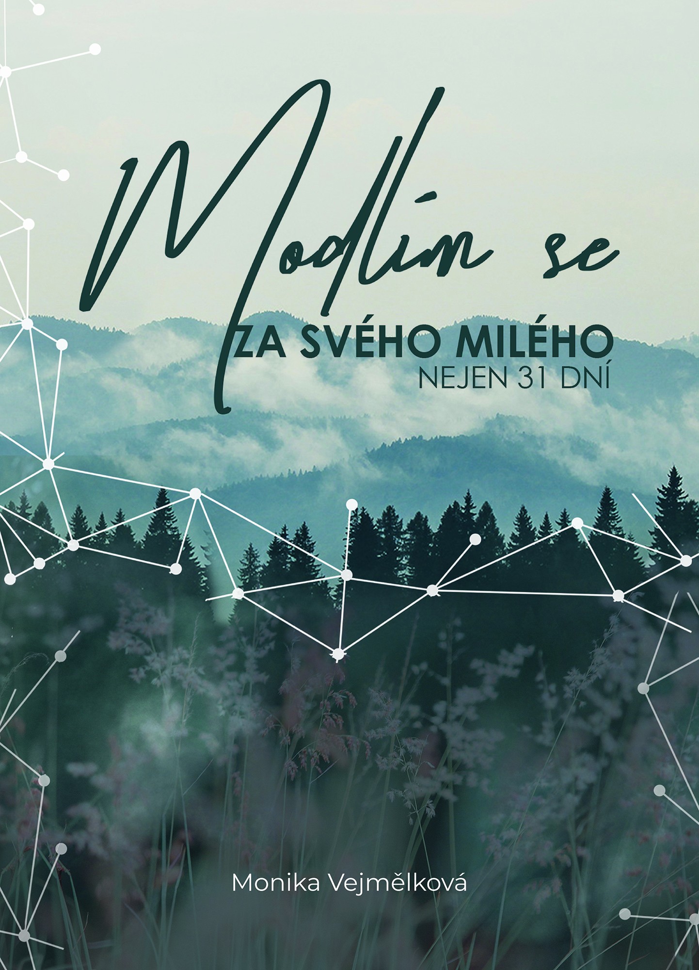 Modlím se za svého milého: nejen 31 dní (Unknown Binding)