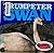 Trumpeter Swan (Giants Among Us)