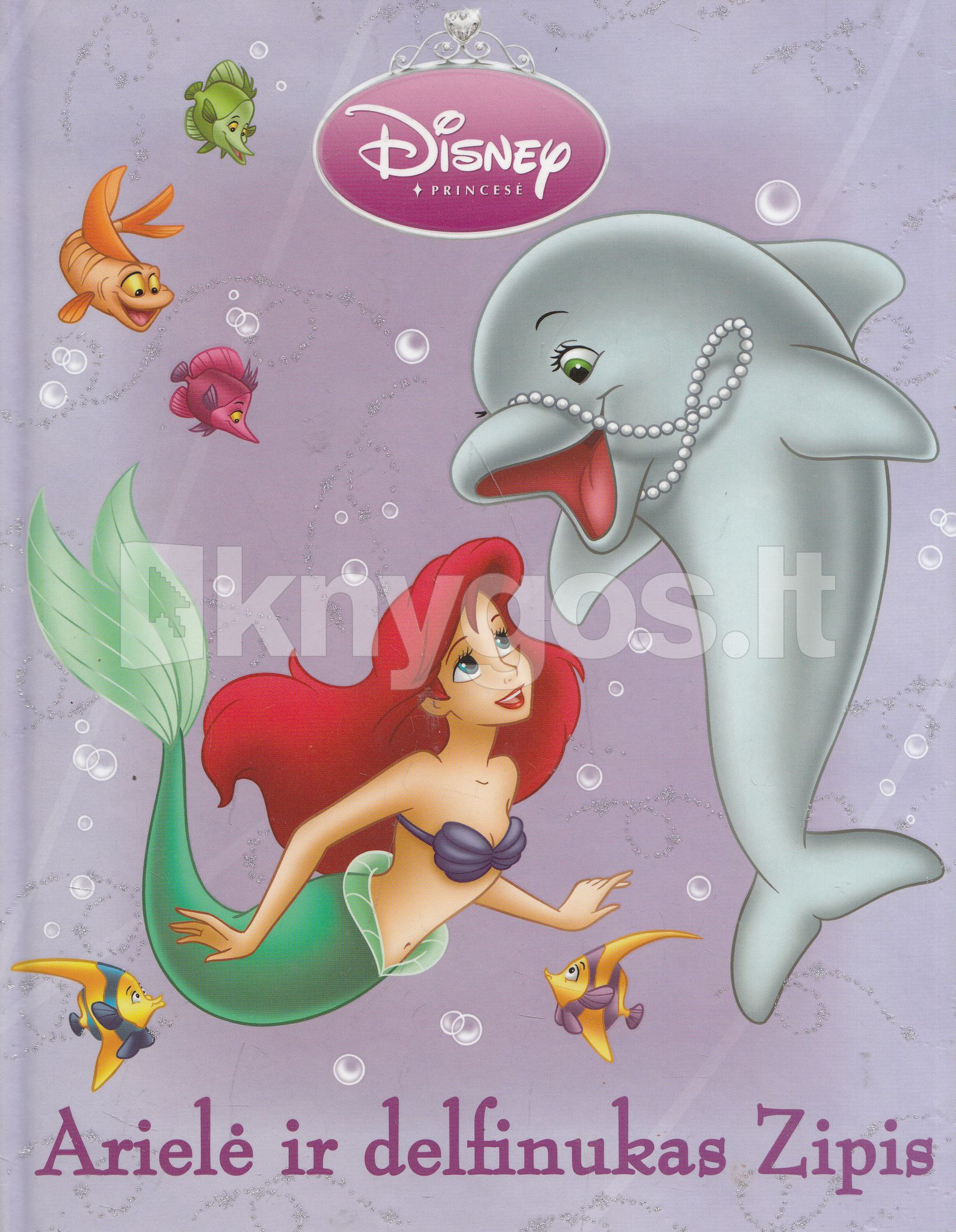 Arielė ir delfinukas Zipis (Hardcover)