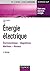Énergie électrique by Luc Lasne