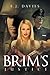 Brim's Justice by E.J. Davies