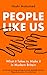 People Like Us: What it Takes to Make it in Modern Britain