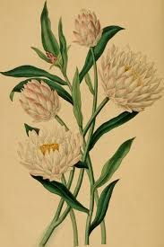 El otro lado de la plaza (ebook)