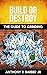 Build or Destroy by Anthony Barber