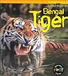 Bengal Tiger (Animals in Danger)