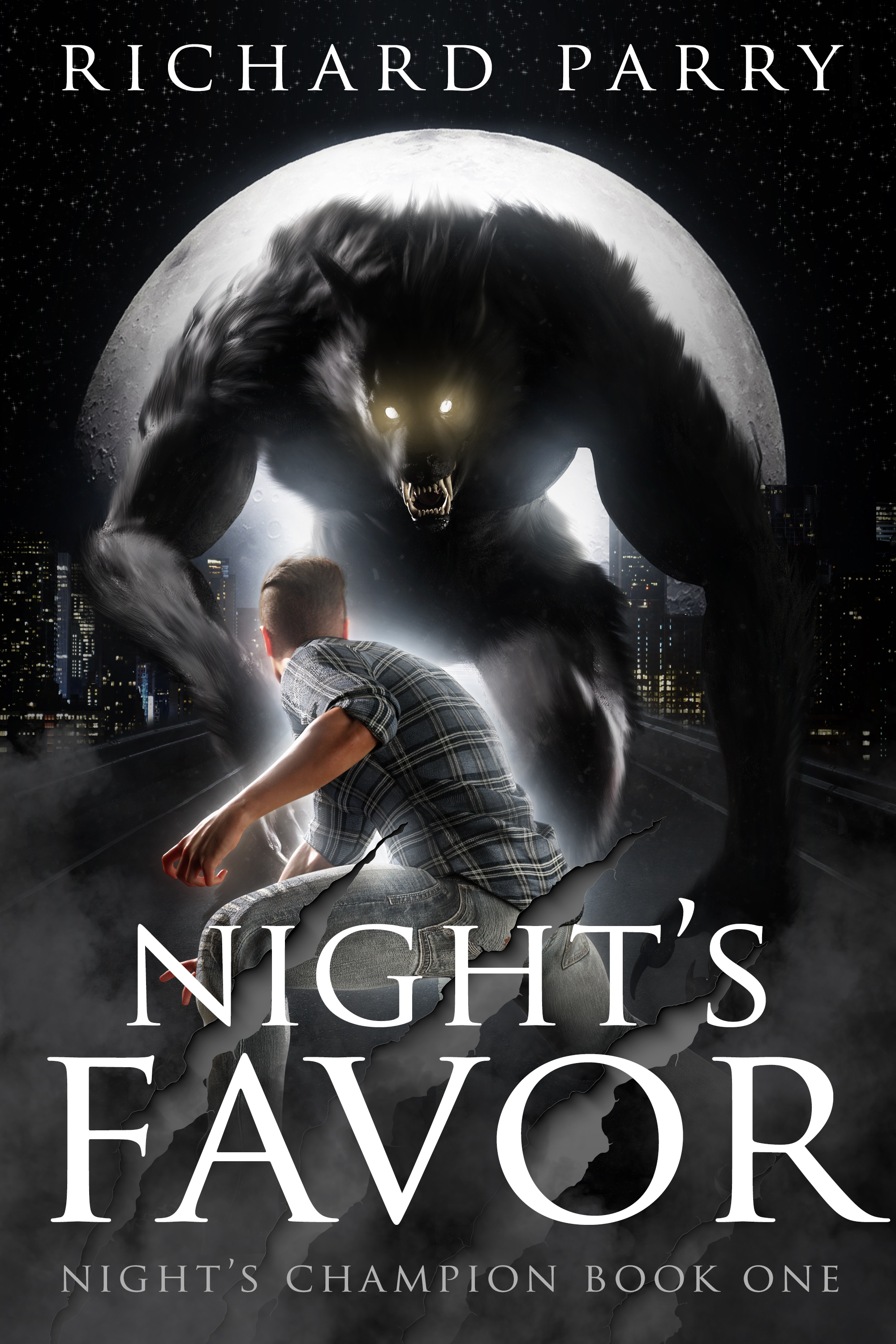 Night's Favor (Night's Champion #1)