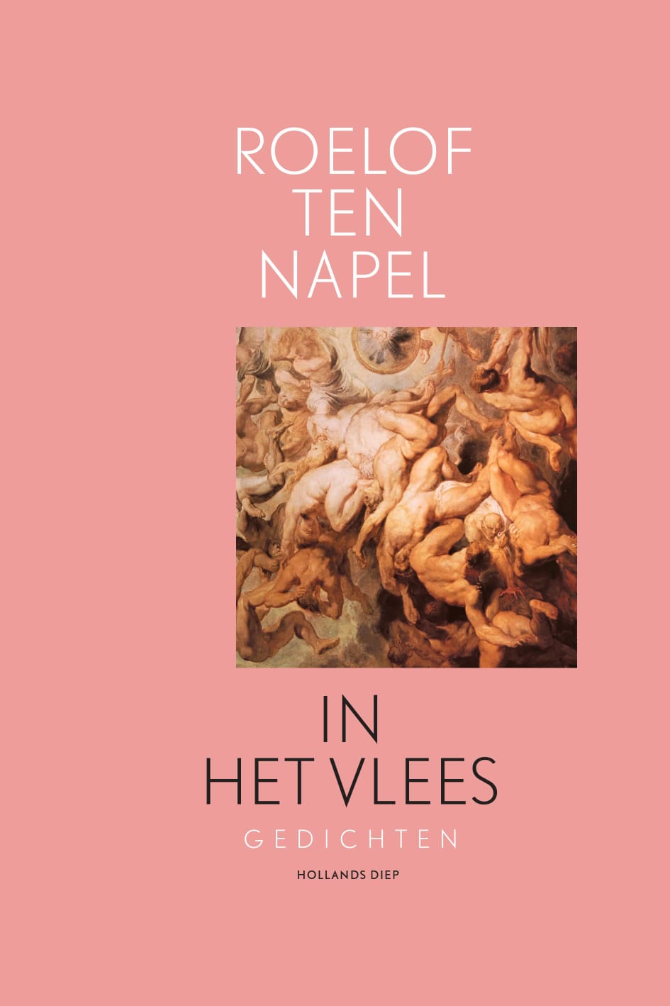 In het vlees (Paperback)