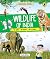 Discover India: Wildlife of...