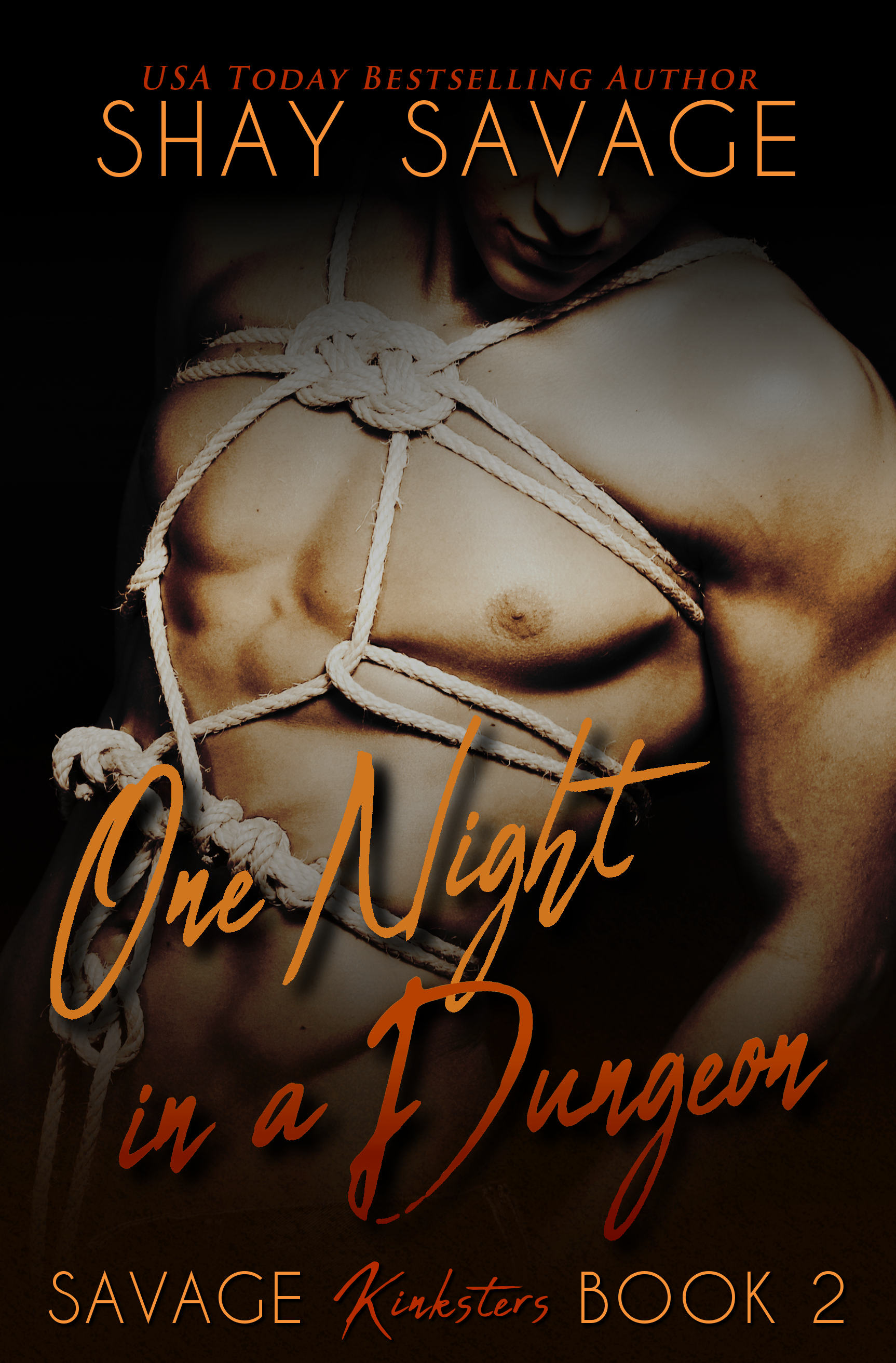 One Night in a Dungeon (Kindle Edition)