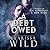 A Debt Owed (The Debt Duet, #1)
