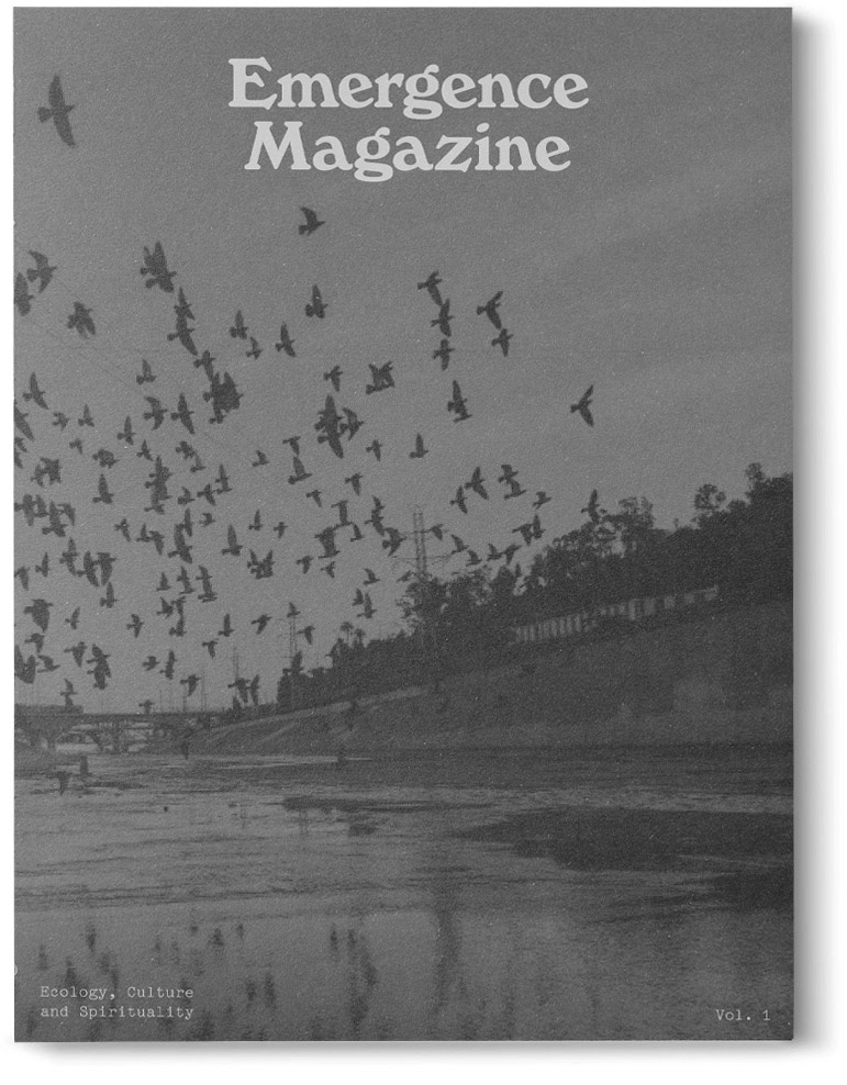 Emergence Magazine vol. 1 (Paperback)