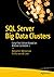 SQL Server Big Data Cluster...