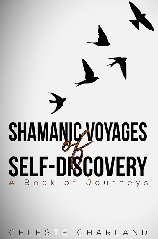 Shamanic Voyages of Self-Discovery (Paperback)