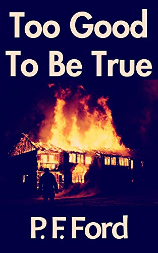 Too Good To Be True (ebook)