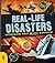 Real-Life Disasters