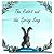 The Rabbit and the Spring S...