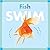 Fish Swim (Amicus Ink Board Books)