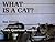 What Is a Cat?