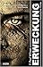 Erweckung (Adversary Cycle, #4)