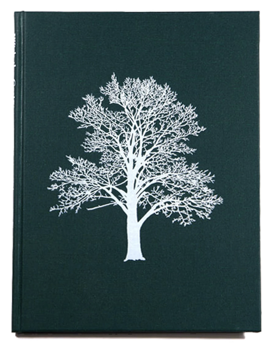 With the Grain: A Craftsman’s Guide to Understanding Wood