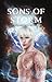 Sons of Storm