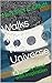 Walks With The Universe: A ...