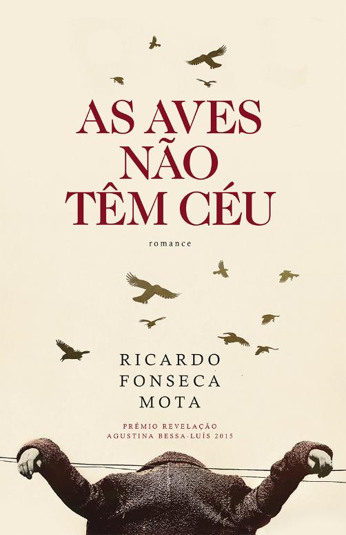 As aves não têm céu (Paperback)