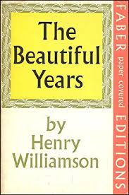 The Beautiful Years (Paperback)