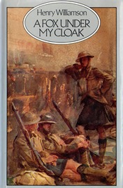 A Fox Under My Cloak (Chronicle of Ancient Sunlight Series)