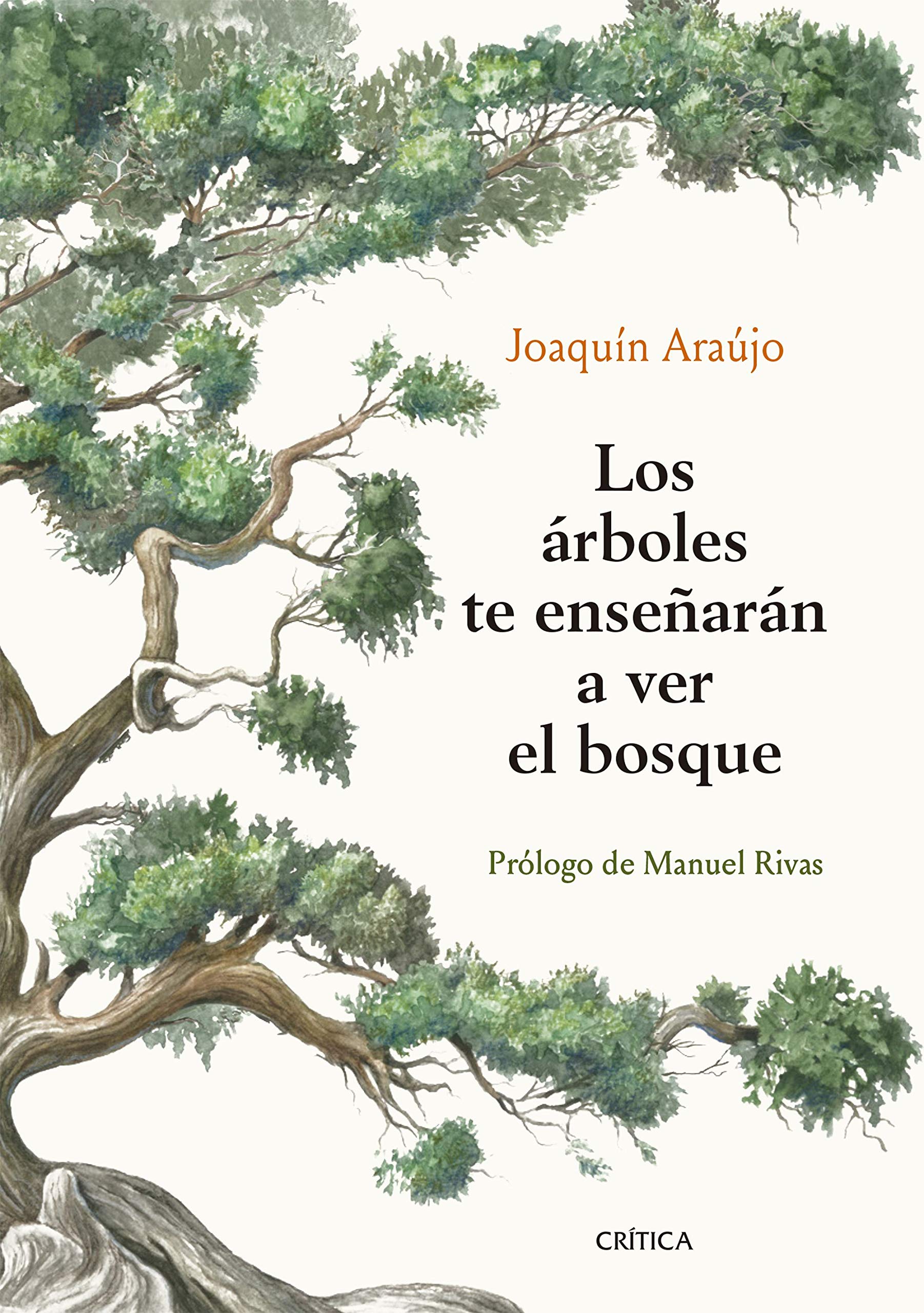 Los árboles te enseñarán a ver el bosque (Paperback)
