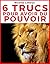 6 trucs pour avoir du pouvoir (Pouvoir illimité) by Nicolas Lehoux