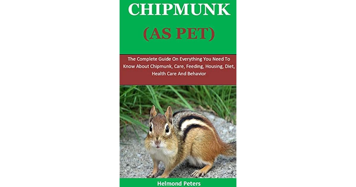 Chipmunks As Pets The Complete Guide On Everything You Need To Know